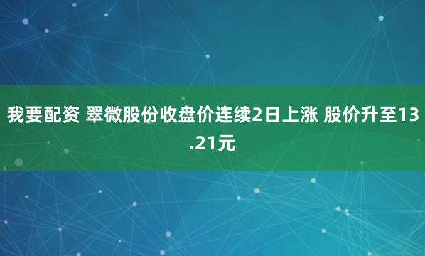 我要配资 翠微股份收盘价连续2日上涨 股价升至13.21元